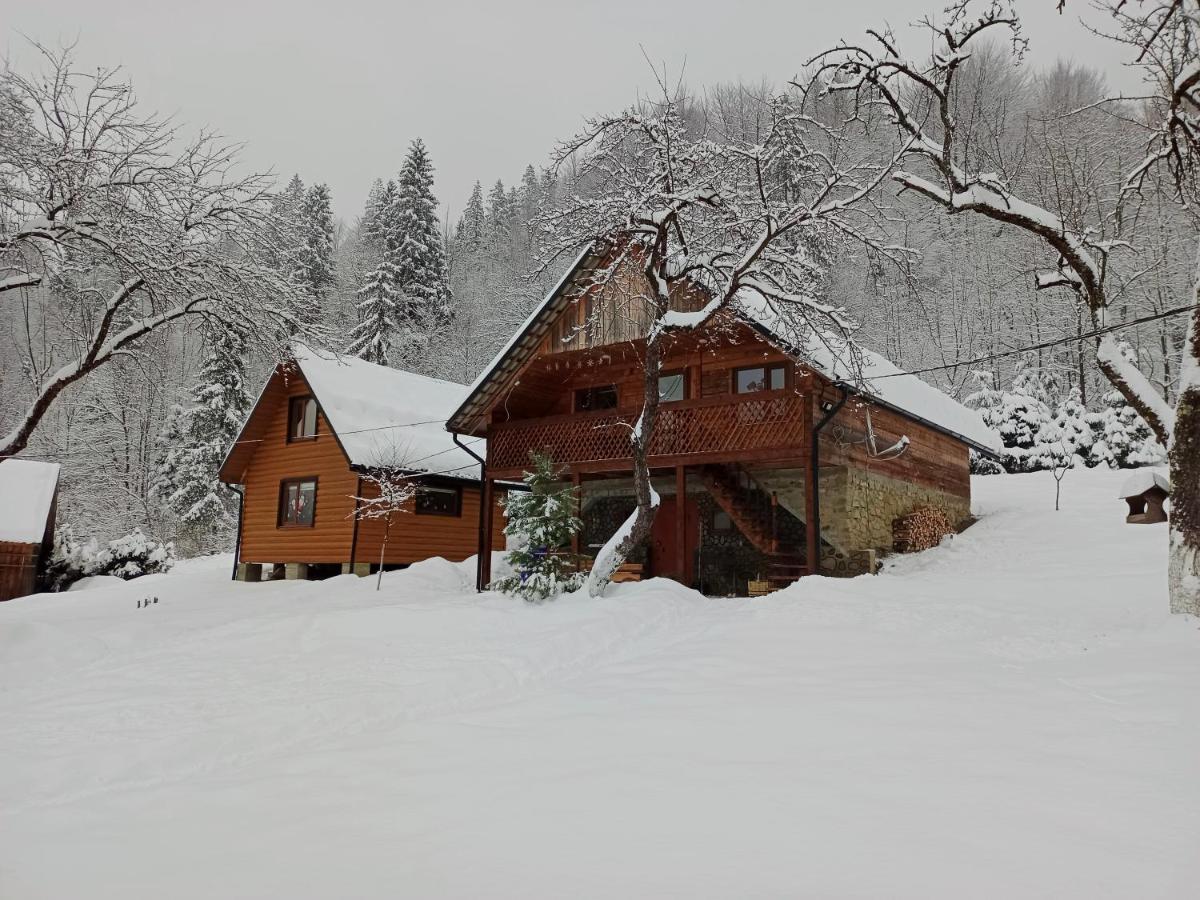 Під Горою Villa Sheshory Exterior photo