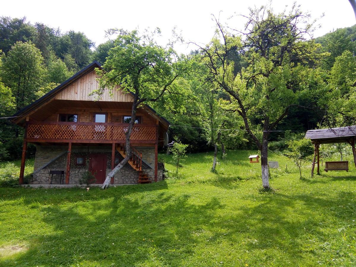 Під Горою Villa Sheshory Exterior photo
